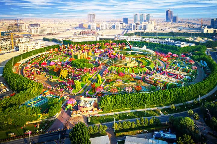 Dubai Miracle garden