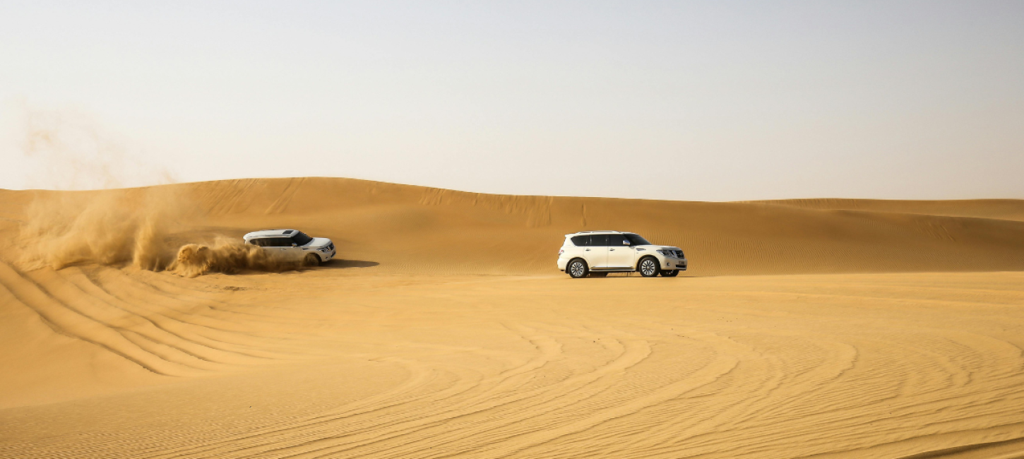 dubai city tour & desert safari